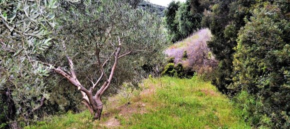 Hotel in Corfu, Greece 5000m², Nr. 4959 4