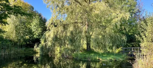 6 غرف نوم تاون هاوس في Dithmarschen, Germany رقم 69404 5