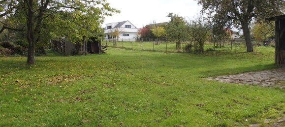 5 chambres Maison à Bernkastel-Wittlich, Germany No. 188994 20