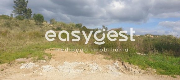 10000m² Land in Coimbra, Portugal No. 79711 2