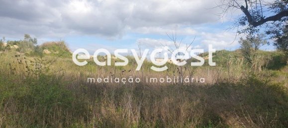 10000m² Land in Coimbra, Portugal No. 79711 4