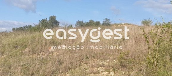 10000m² Land in Coimbra, Portugal No. 79711 12