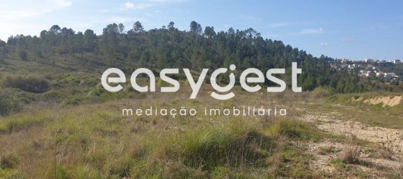 10000m² Land in Coimbra, Portugal No. 79711 6