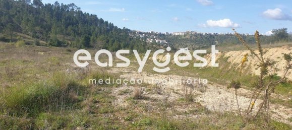 10000m² Land in Coimbra, Portugal No. 79711 5