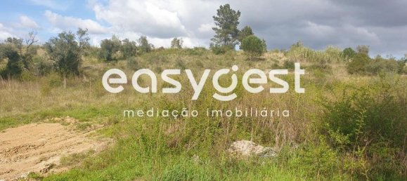 10000m² Land in Coimbra, Portugal No. 79711 3