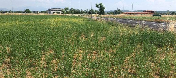 3650m² Land in Bedizzole, Italy No. 110225 5