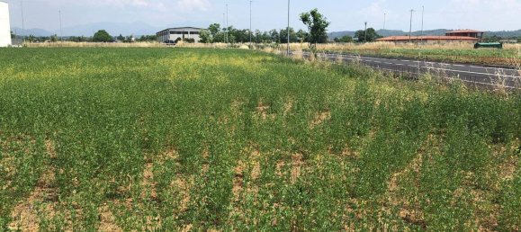 3650m² Land in Bedizzole, Italy No. 110225 4