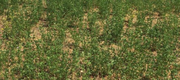 3650m² Land in Bedizzole, Italy No. 110225 6