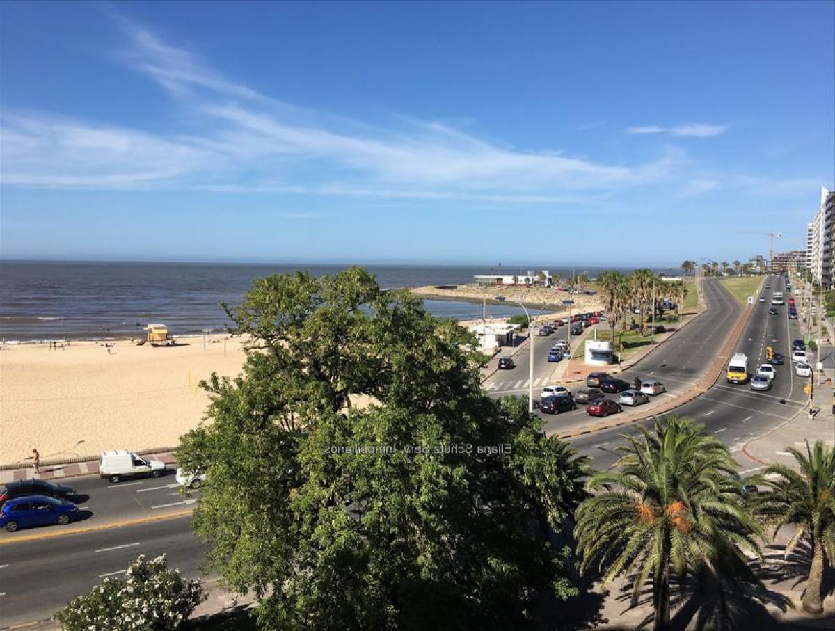 3 bedrooms Apartment in Montevideo, Uruguay No. 7100