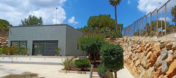 3 bedrooms Apartment in Playa Flamenca II, Spain No. 9663 22