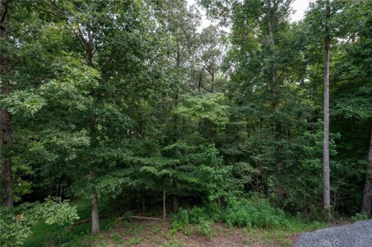 3 bedrooms House in Ellijay, USA No. 376153