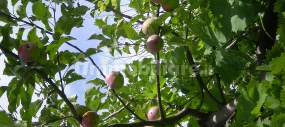 2 Schlafzimmer Villa in Torella dei Lombardi, Italy, Nr. 314968 6