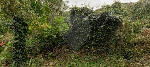 2 bedrooms House in Redinha, Portugal No. 28502 9