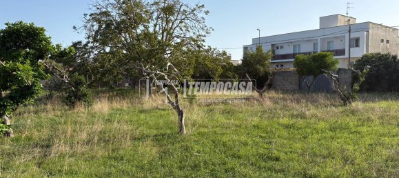 Land in Diso, Italy No. 331656 3