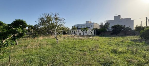 Land in Diso, Italy No. 331656 9