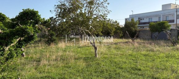 Land in Diso, Italy No. 331656 11