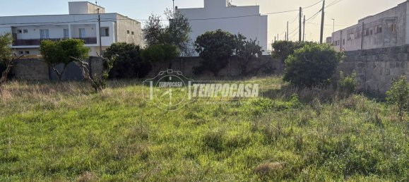 Land in Diso, Italy No. 331656 13