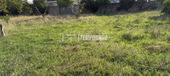 Land in Diso, Italy No. 331656 7