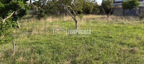 Land in Diso, Italy No. 331656 2