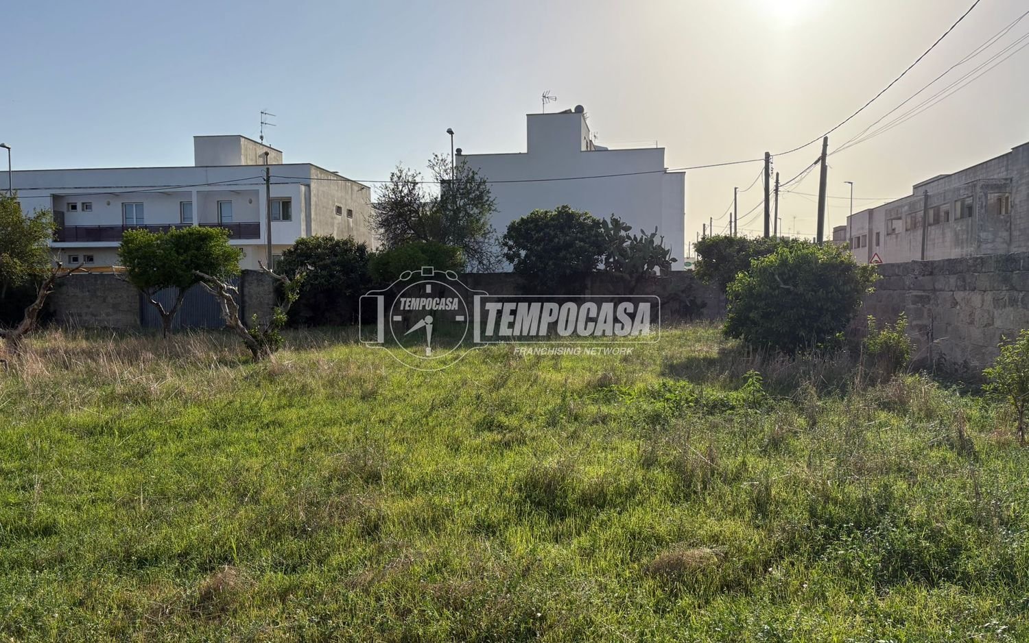  قطعة أرض في Diso, Italy رقم 331656