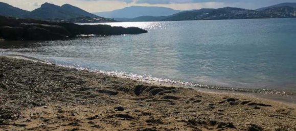 900m² Hotel in Markopoulo Mesogaias, Greece No. 2959 3