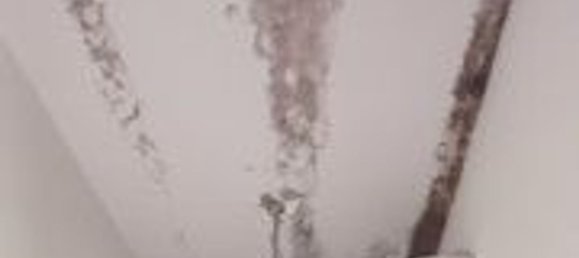 3 rooms House in Palestrina, Italy No. 30049 17