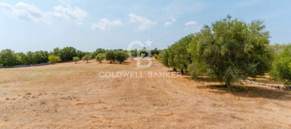 2 غرف نوم منزل في Locorotondo, Italy رقم 334435 23