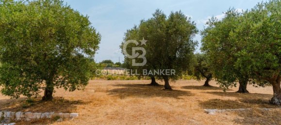 2 غرف نوم منزل في Locorotondo, Italy رقم 334435 21