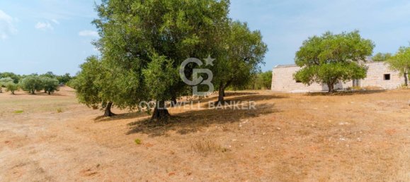 2 غرف نوم منزل في Locorotondo, Italy رقم 334435 25