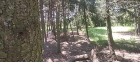 4 bedrooms House in Madrid, Spain No. 155465 10