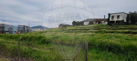 Terrain à Murca, Portugal 6388m² No. 9354 8
