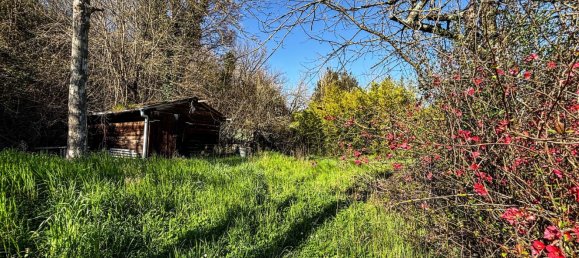 3 bedrooms Apartment in Bucine, Italy No. 110892 13