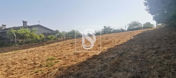 Terreno em Anadia, Portugal N.º 222741 9