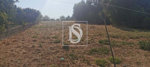 Terreno em Anadia, Portugal N.º 222741 12