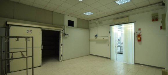 462m² Warehouse in Piacenza, Italy No. 210629 13