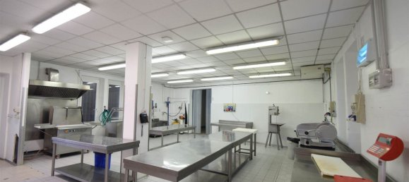 462m² Warehouse in Piacenza, Italy No. 210629 3