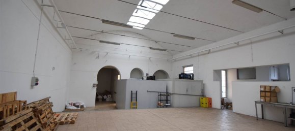 462m² Warehouse in Piacenza, Italy No. 210629 10