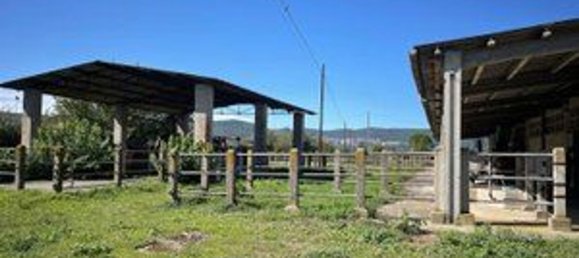 800m² Warehouse in Terni, Italy No. 327821 8