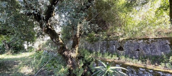 5 غرف نوم قلاع في Abrantes, Portugal رقم 142578 21