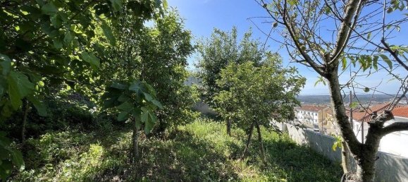 5 غرف نوم قلاع في Abrantes, Portugal رقم 142578 23