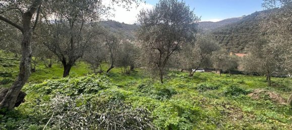 Terreno en Imperia, Italy 3347 m² No. 150821 2