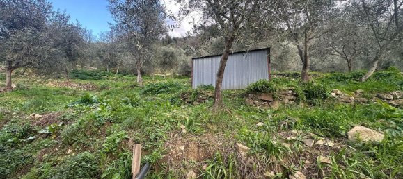 Terreno en Imperia, Italy 3347 m² No. 150821 9