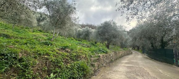 Terreno en Imperia, Italy 3347 m² No. 150821 8