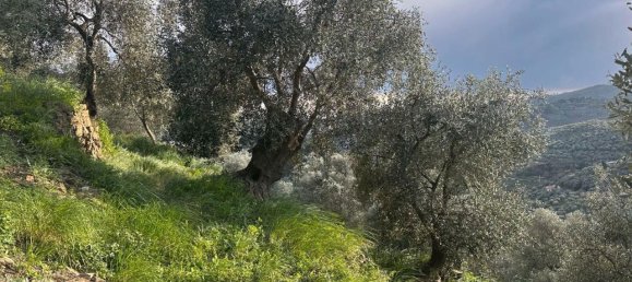 Terreno en Imperia, Italy 3347 m² No. 150821 10