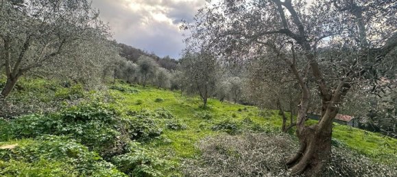 Terreno en Imperia, Italy 3347 m² No. 150821 6