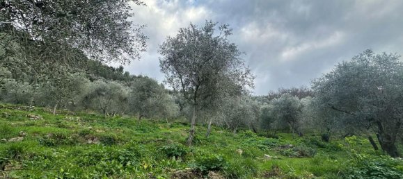 Terreno en Imperia, Italy 3347 m² No. 150821 7