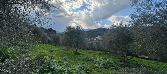 Terreno en Imperia, Italy 3347 m² No. 150821 3