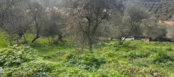 Terreno en Imperia, Italy 3347 m² No. 150821 4