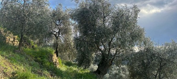 Terreno en Imperia, Italy 3347 m² No. 150821 5