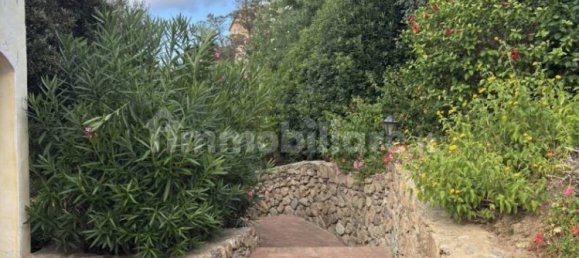 1 غرف نوم شقة في Arzachena, Italy رقم 330911 12